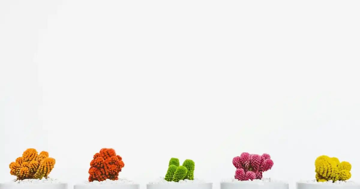 Lenovo Ekran Resmi Alma Yöntemleri: Kapsamlı Rehber ve Pratik İpuçları