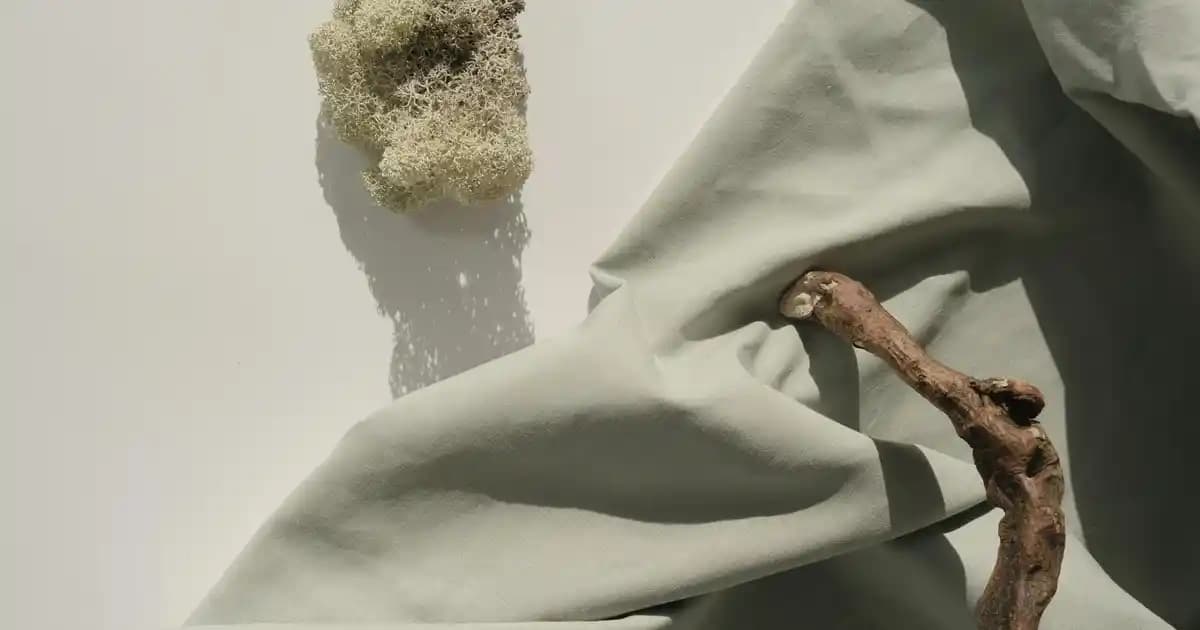 LG LED TV LED Panel Değişimi Fiyatları ve Bakım Süreci Hakkında Detaylı Bilgi