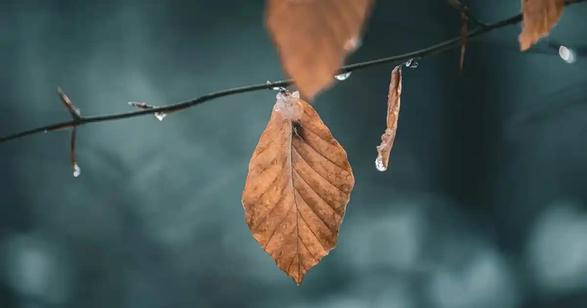 Logitech MK345 ve MK295 Kablosuz Klavye Mouse Seti Karşılaştırması ve Seçim Rehberi