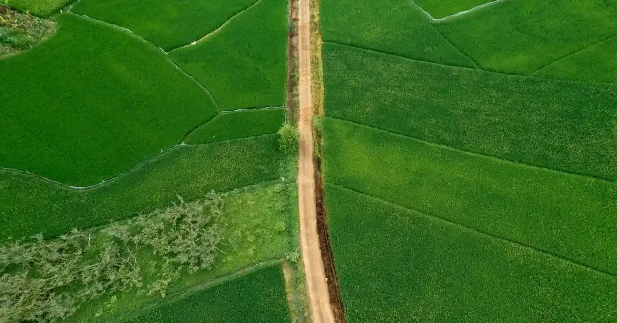 MI 15T Pro IMEI Durumu: Değiştirme Mümkün mü ve Yasal Boyutları Nelerdir