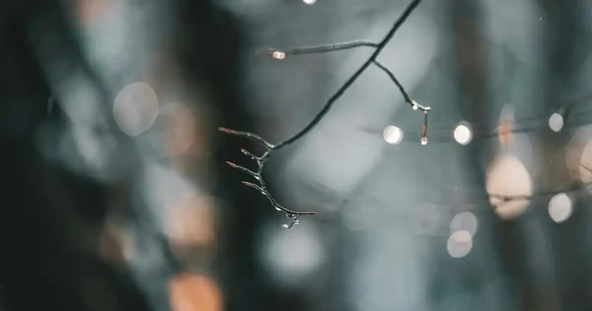 Mobil Veri Başka Telefona Nasıl Bağlanır? Android ve iPhone İçin Detaylı Rehber