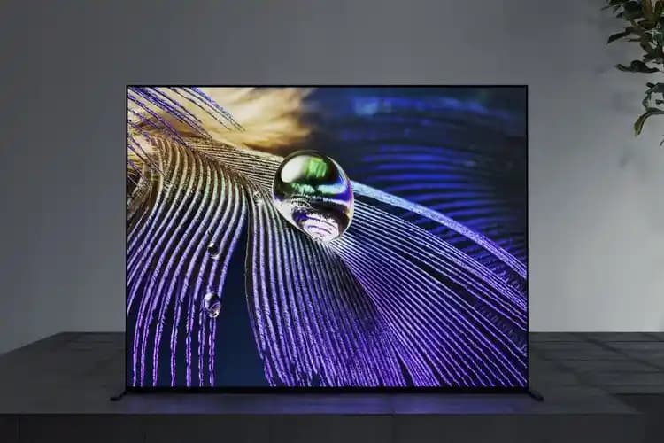 OLED Ekran Nedir? Avantajları, Kullanım Alanları ve Teknolojinin Geleceği