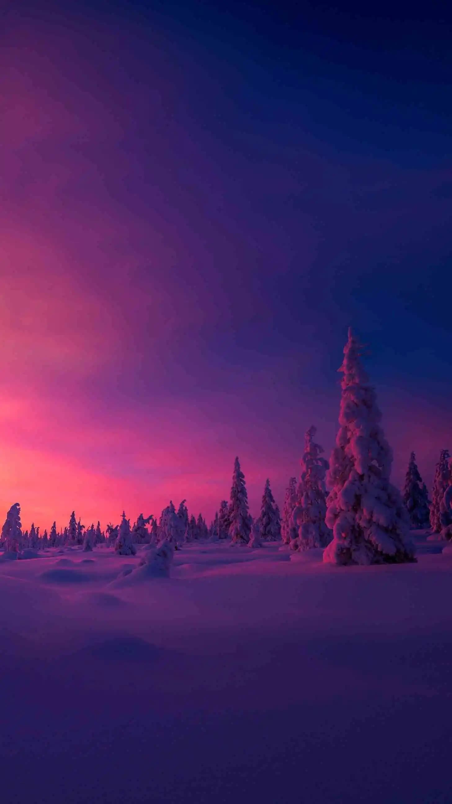 Omix Duvar Kağıtları ile Teknoloji Cihazlarınız İçin Yüksek Kaliteli ve Estetik Çözümler