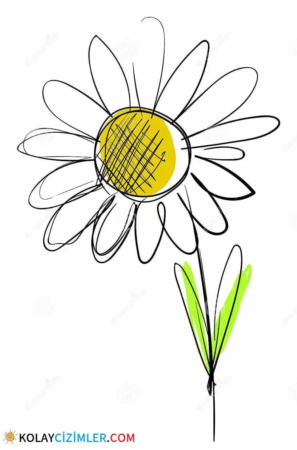 Papatya Deseni: Teknoloji Ürünlerinde Doğallık ve Estetiğin Modern Buluşması