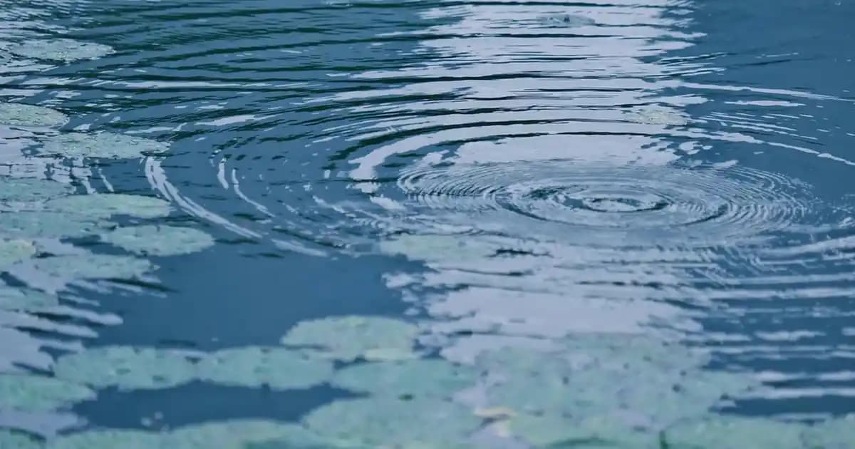 Poco X7 M7: Orta Segmentte Yüksek Performans ve Uygun Fiyatın Dengesi