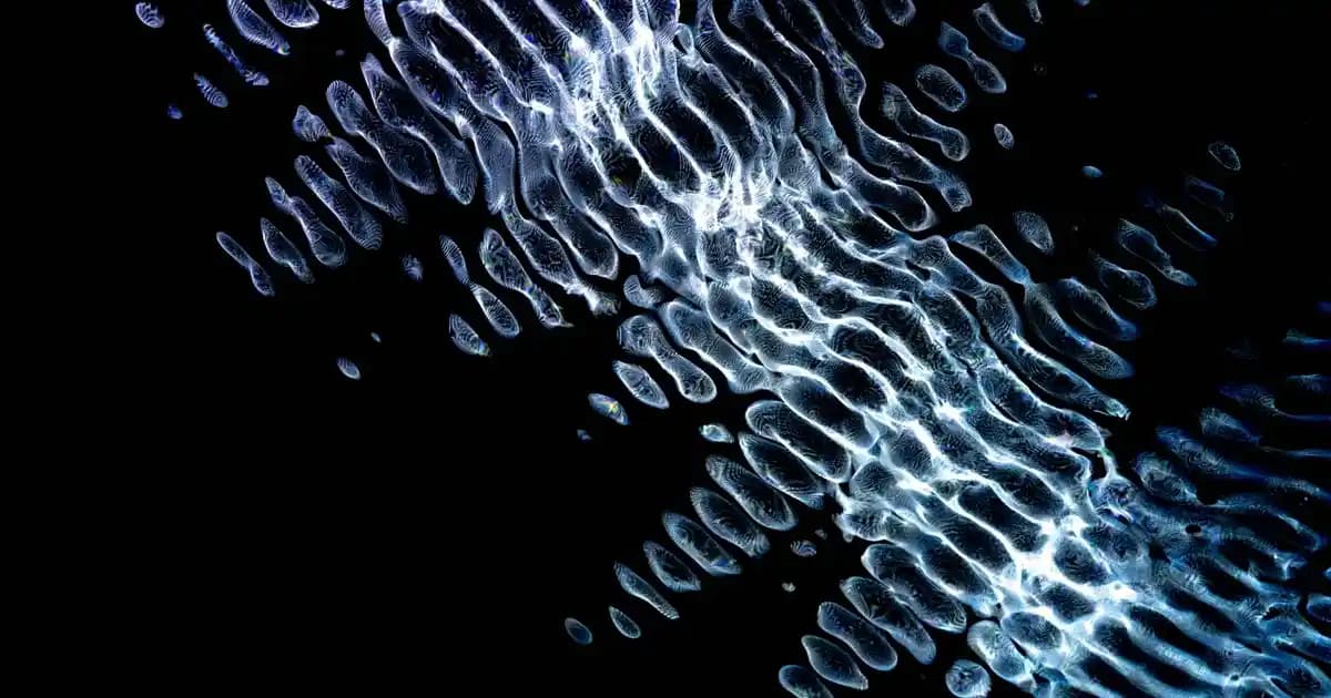 Poco X7 Pro ve Samsung Galaxy S22 Ultra: Tasarım, Performans ve Kamera Karşılaştırması