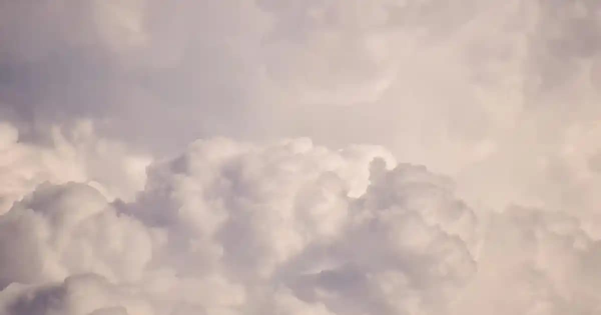 Profilo Buzdolabı Ayarları: Enerji Verimliliği ve Uzun Ömür İçin Rehber