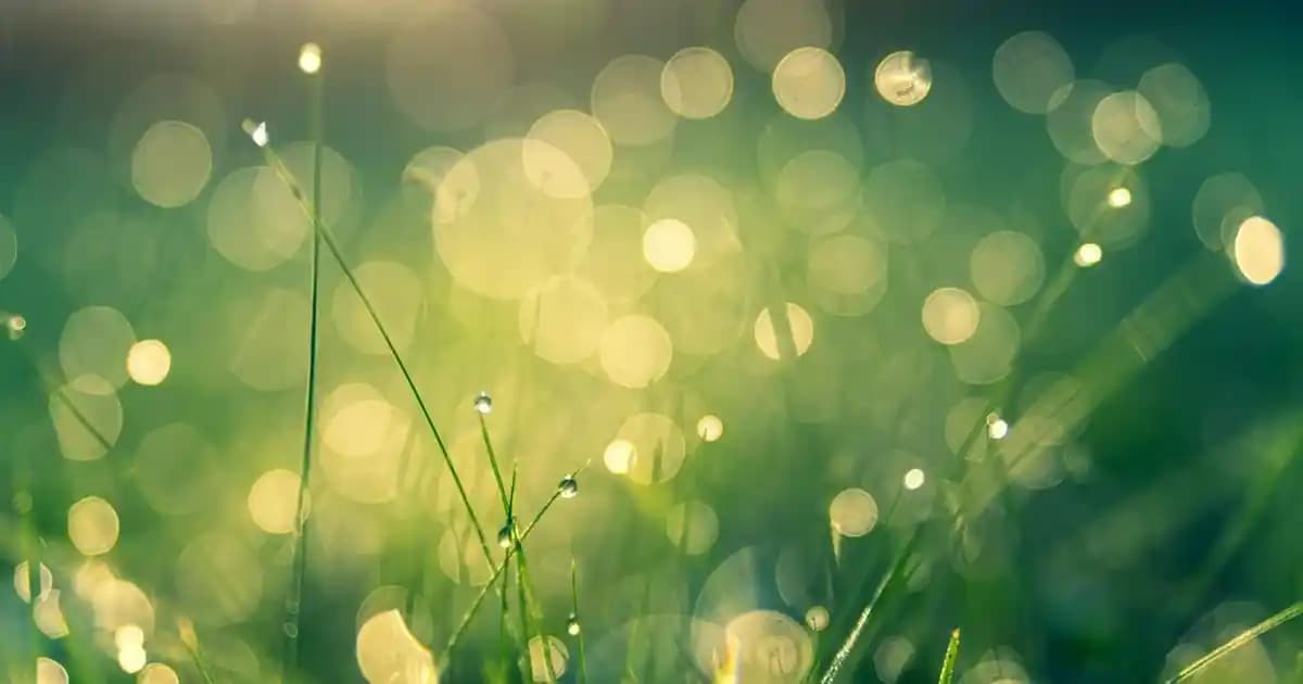 Redmi Note 12 Pro 5G: Orta Segmentte Yüksek Performans ve Gelişmiş Özellikler