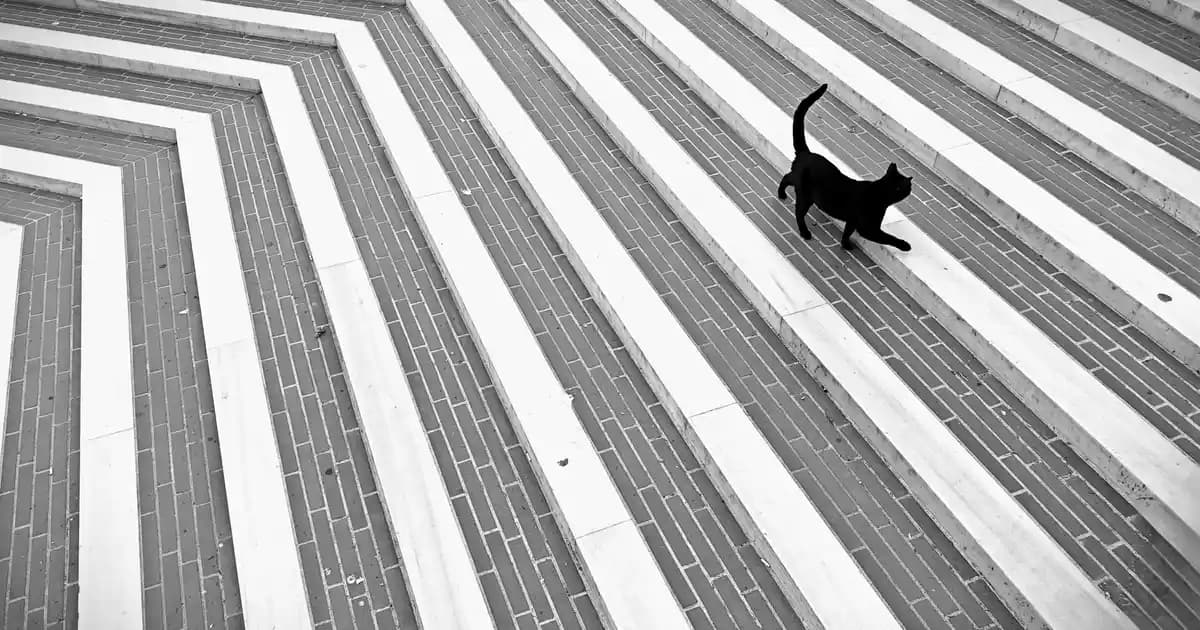 Redmi Note 13 Kablosuz Şarj Özelliği ve Hızlı Şarj Performansının Detaylı İncelemesi