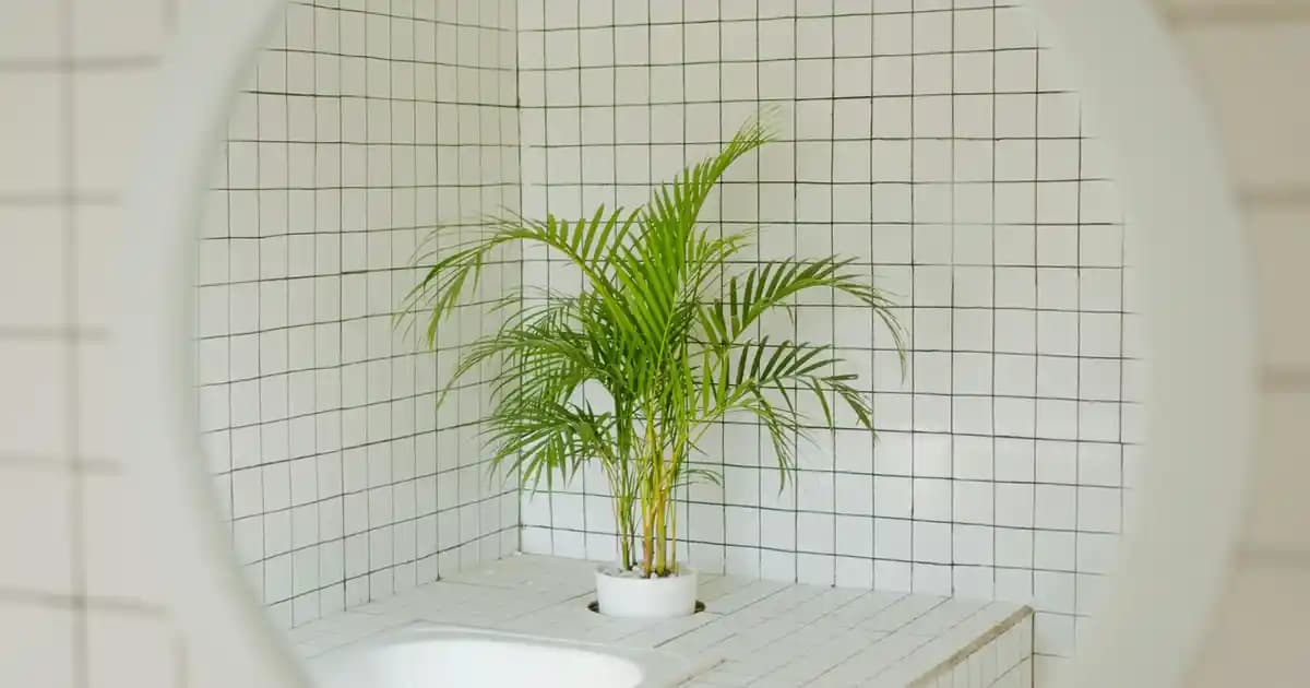 Roborock Qrevo L ve Pro Modelleri: Teknik Özellikler, Performans ve Kullanıcı Rehberi