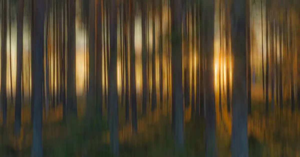 Samsung 24000 BTU Klima: Geniş Alanlar İçin Yüksek Performans ve Enerji Verimliliği