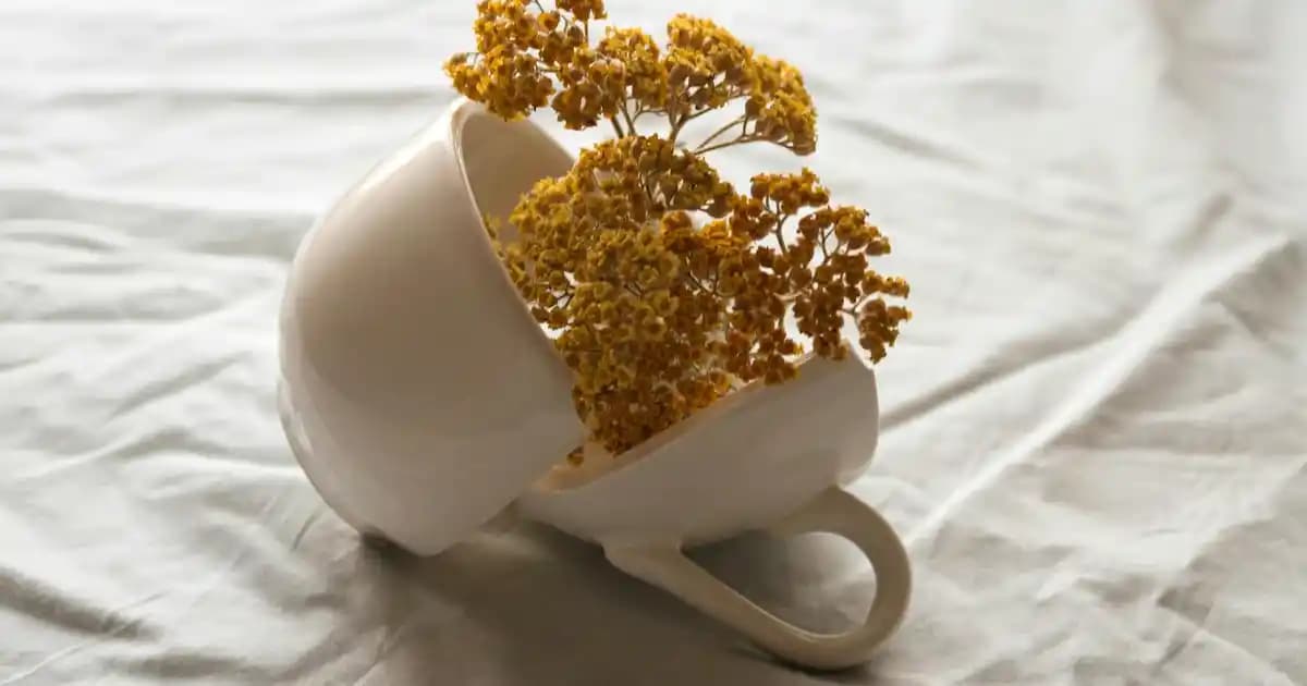 Samsung Buzdolabı Soğutucu Ayarları: Doğru Kullanım ve Performans İpuçları