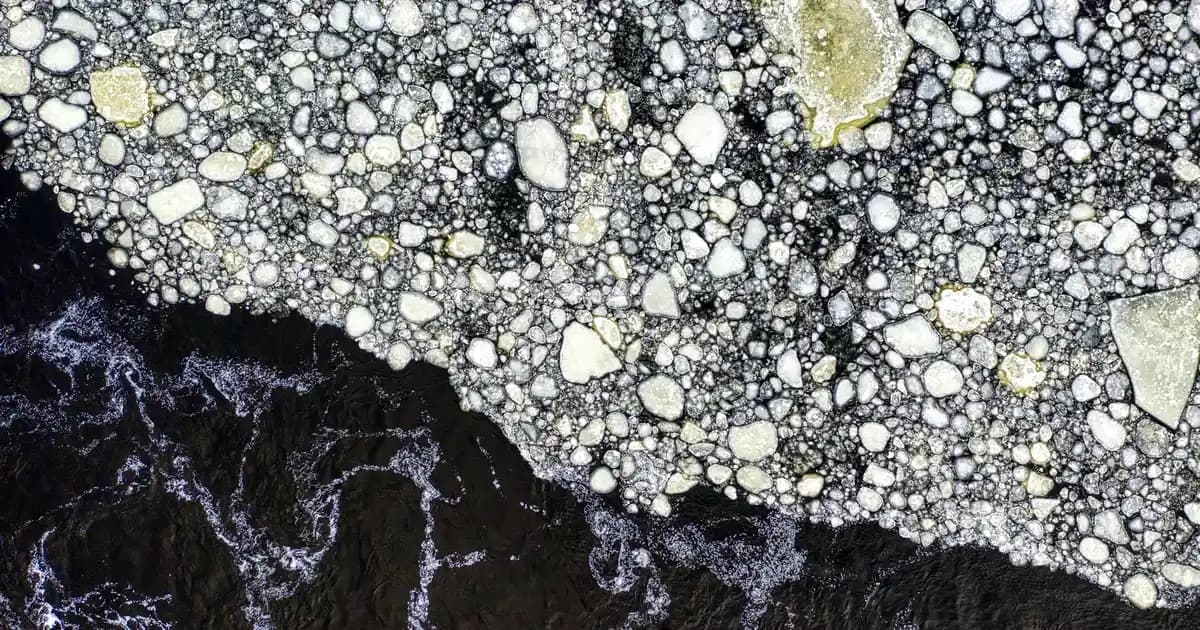 Samsung Buzdolabı Yaz Aylarında Kaç Derece Olmalı? Doğru Sıcaklık Ayarları