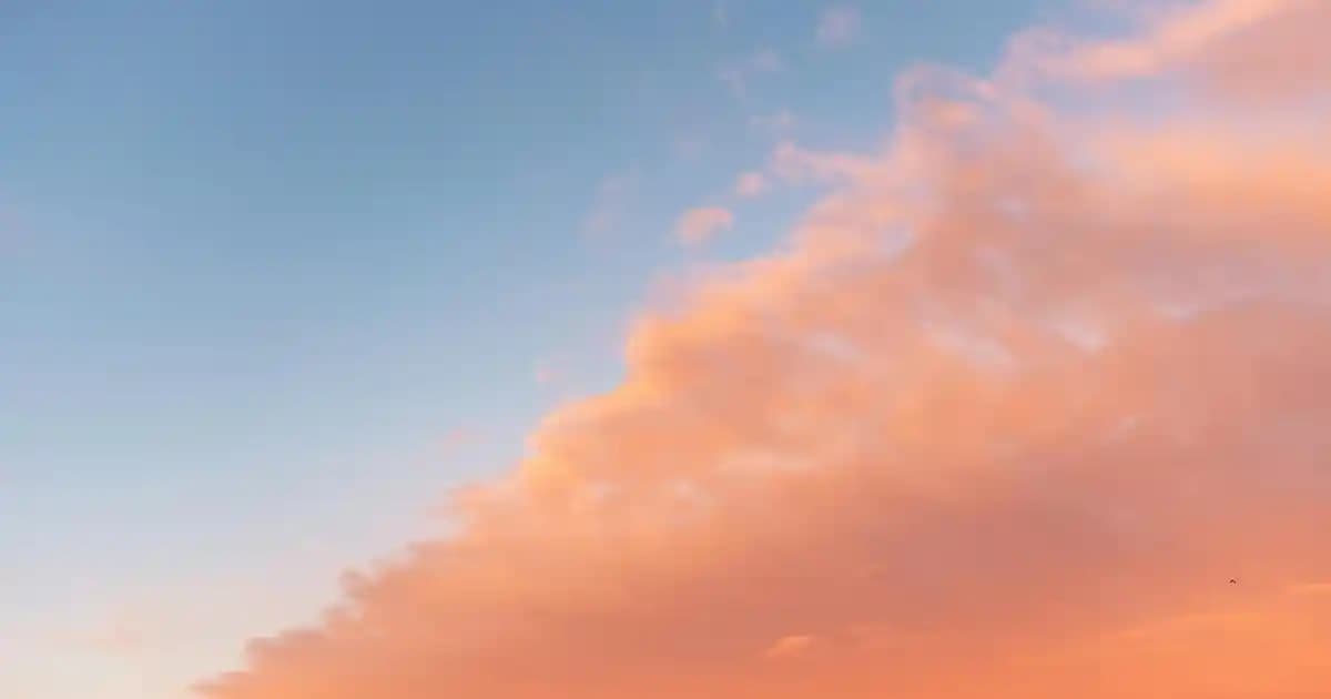 Samsung Galaxy A12: 2025'in En Çok Satılan Bütçe Dostu Akıllı Telefonu