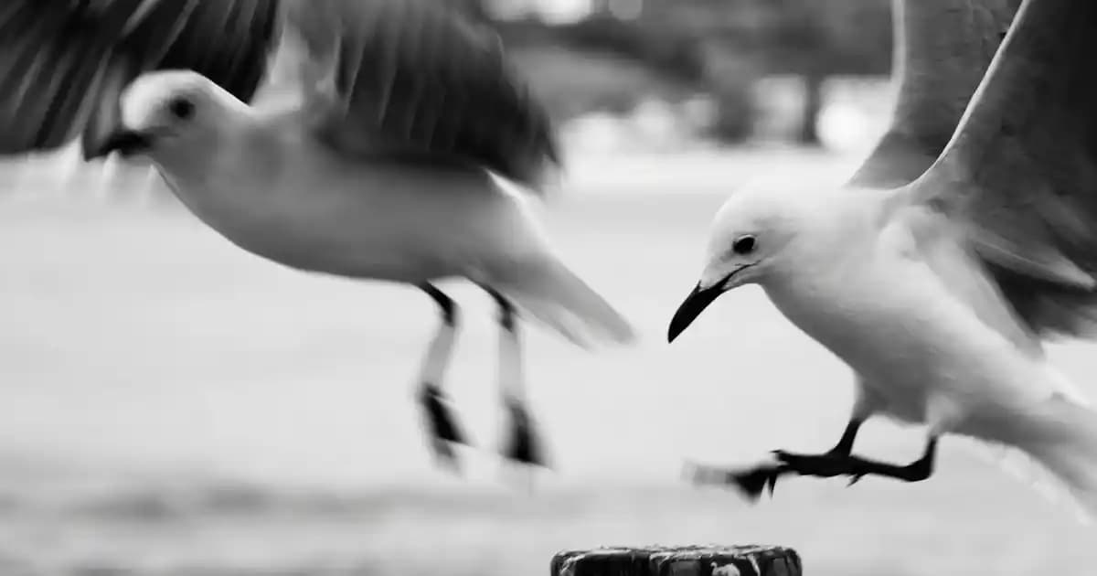 Samsung Galaxy S21 2021 Çıkış Yılı ve Teknik Özellikleri Detaylı İnceleme