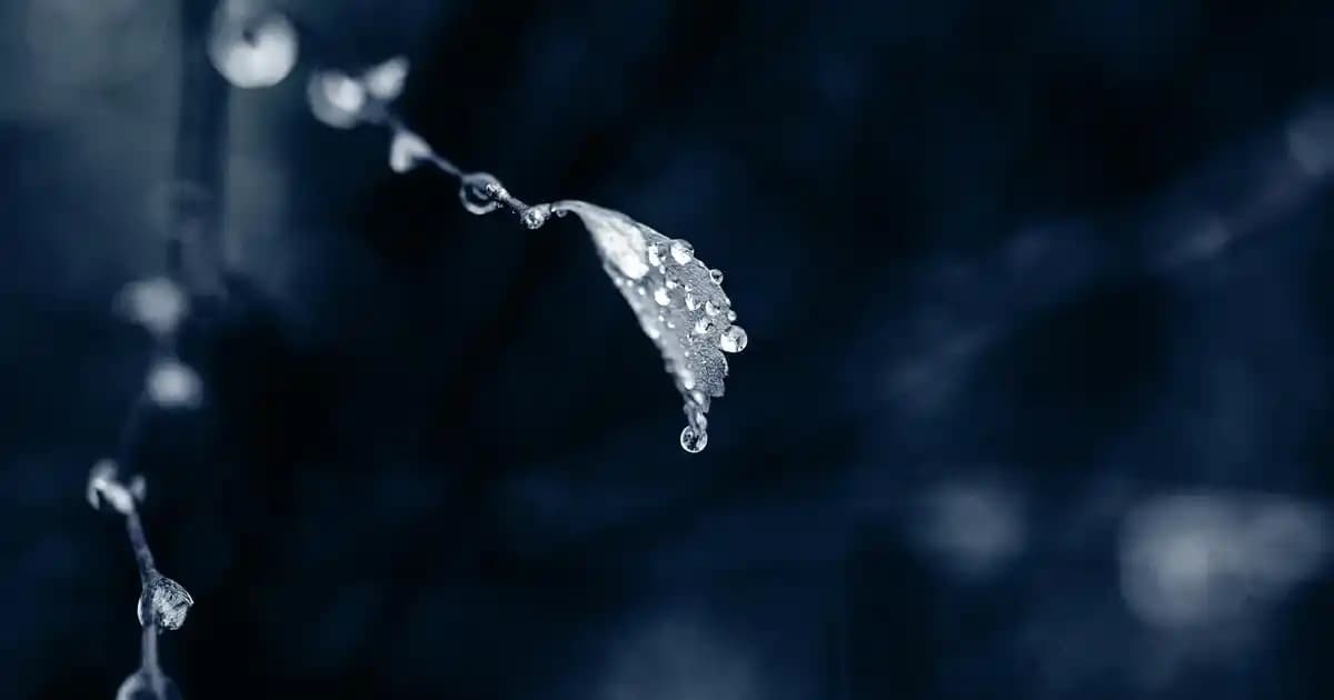 Samsung Galaxy S21: Çıkış Tarihi, Teknik Özellikler ve Performans İncelemesi