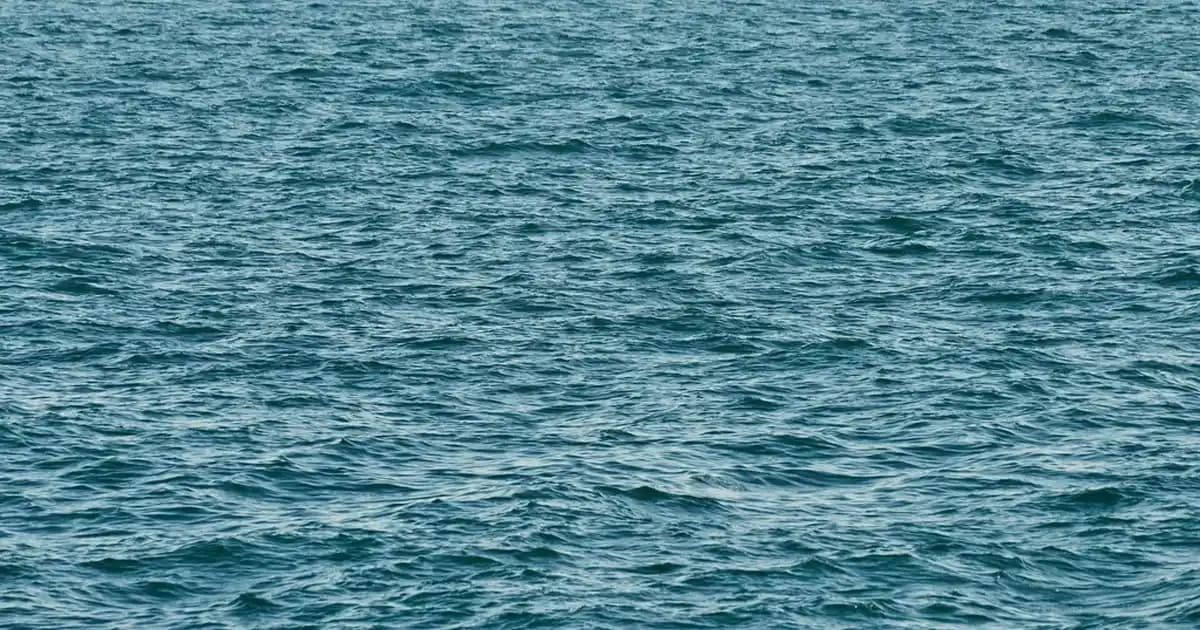 Samsung Wearables ile Akıllı Saat, Fitness Bileklikleri ve Kablosuz Kulaklık Teknolojileri