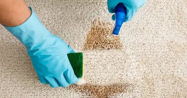 Şark Halı Yıkama: Ankara'da Profesyonel ve Güvenilir Halı Temizliği Hizmetleri