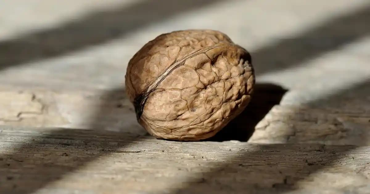 Smarter Dikiş Makineleri: Akıllı Teknolojiyle Dikişte Yenilikçi Çözümler