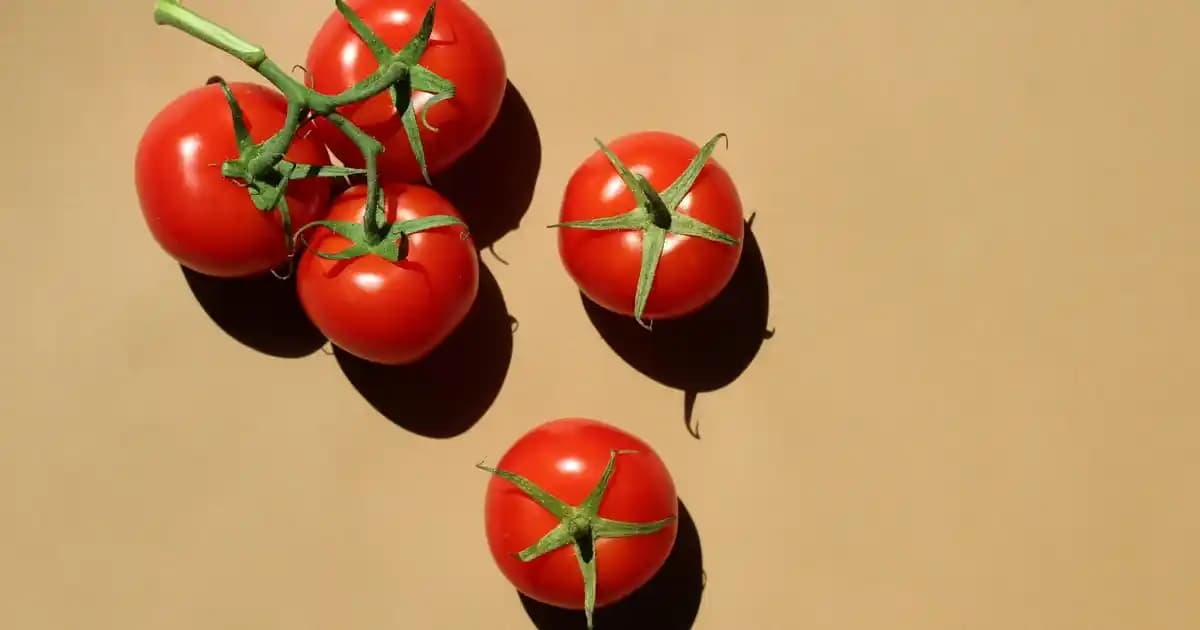 Standart Buzdolabı Ölçüleri ve Mutfak İçin Yerleşim Rehberi 2024