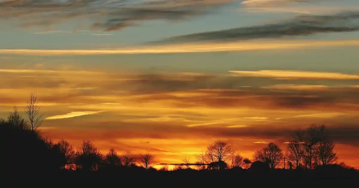 TCL: Küresel Teknoloji Sektöründe Akıllı Telefon ve Televizyon Üreticisi