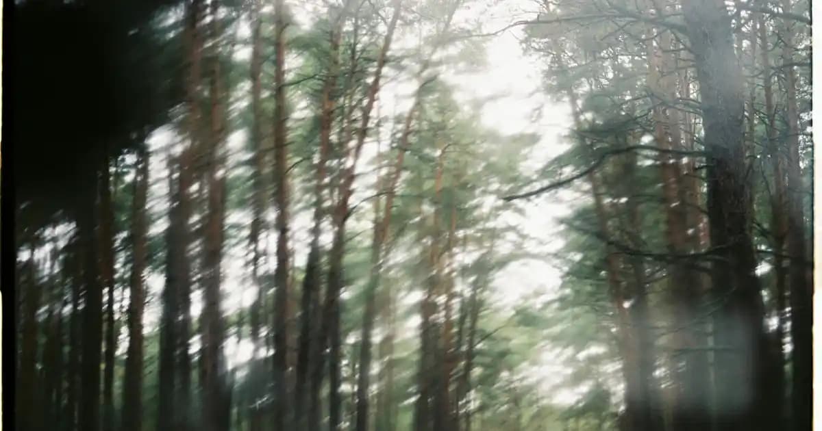 TCL MT42X Ortam Dinleme Özelliği ve Güvenlik Analizi: Gizlilik Endişeleri İncelendi