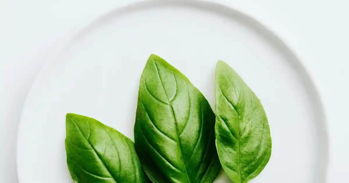 Tefal Pure Pop: Modern Mutfaklarda Fonksiyonellik ve Estetiğin Dengesi