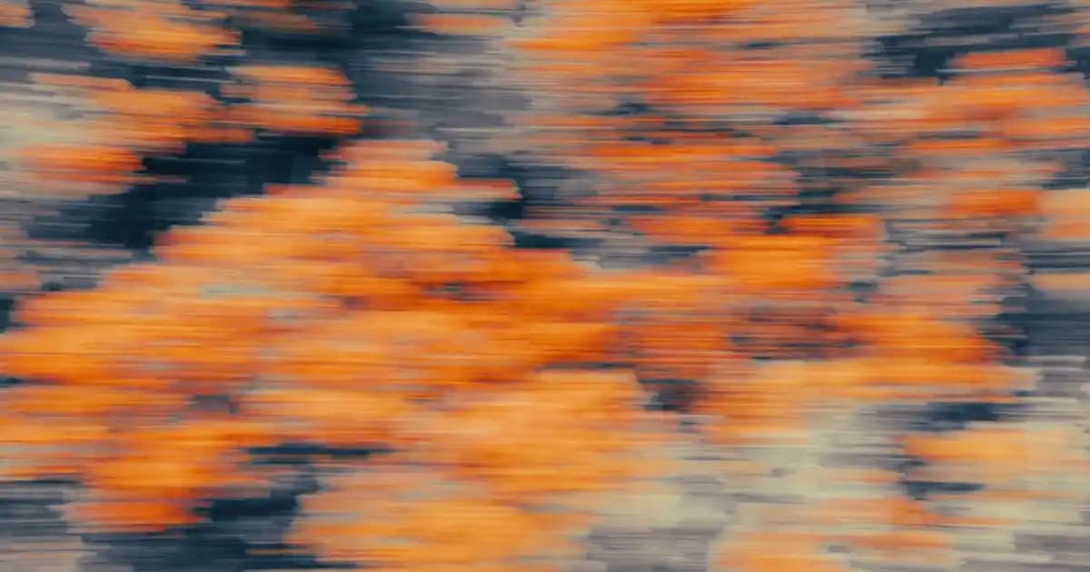 Tefal Pure Pop ve Philips 3000 Hava Temizleyicilerinin Özellikleri ve Performans Karşılaştırması