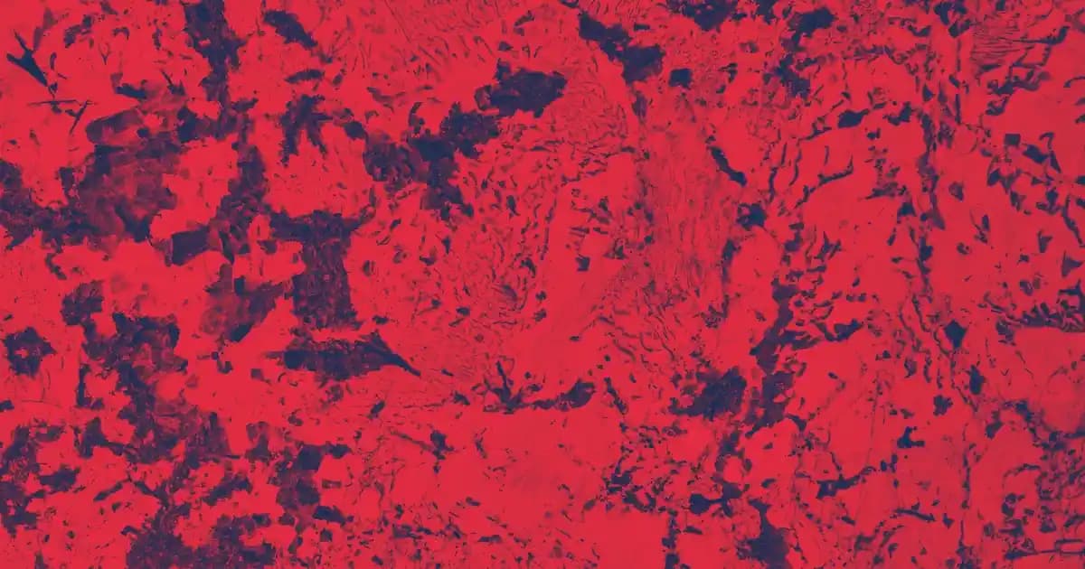 Tek Kameralı Telefonlar: Minimalizm ve Fonksiyonellikte Yüksek Performanslı Seçenekler