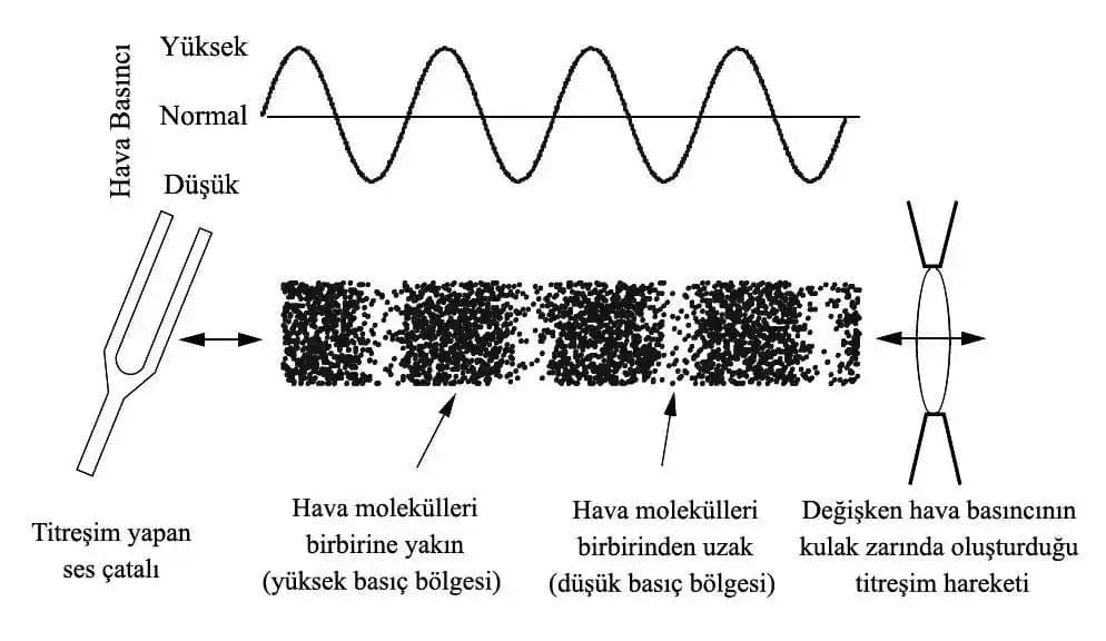 Teknoloji Dünyasında Ses ve Titreşimin Rolü: Akıllı Cihazlar ve Aksesuarların İncelenmesi