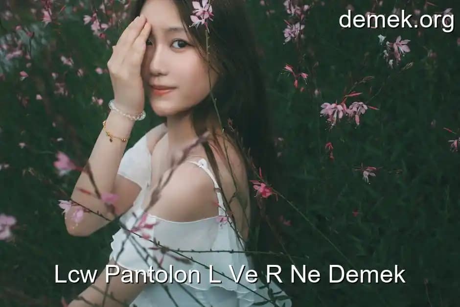 Teknoloji ve Günlük Hayatta R ve L Harflerinin Anlamları ve Kullanımları