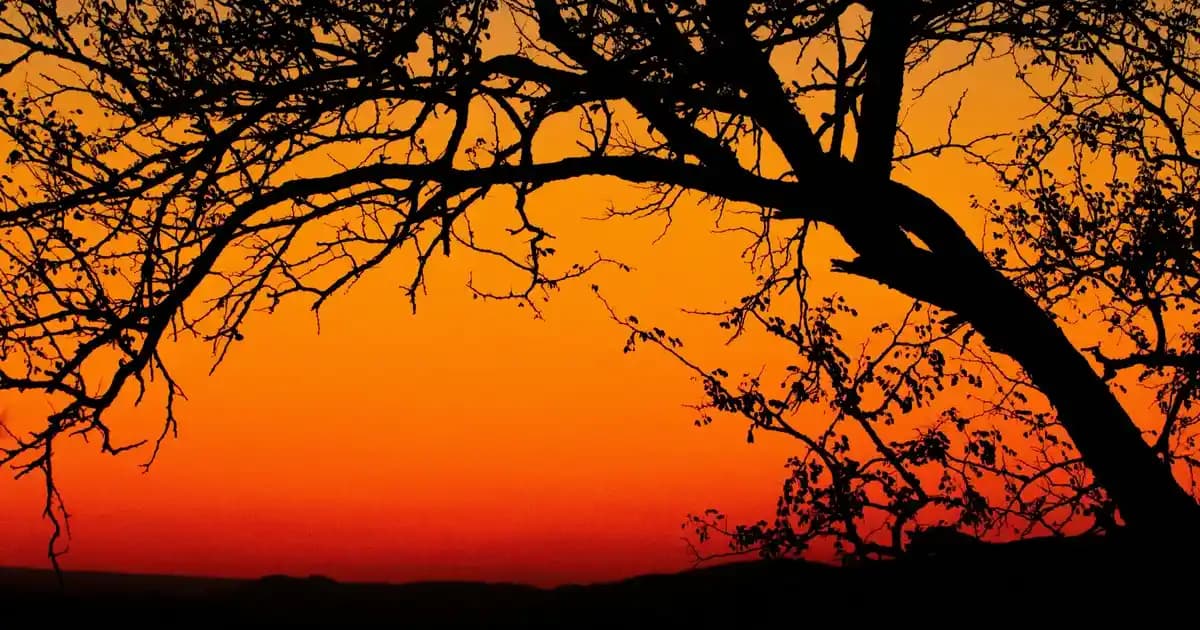 Trak3d ile Akıllı Cihazlarda 3D Konum Takibi ve Enerji Tasarrufu Sağlayan Teknoloji