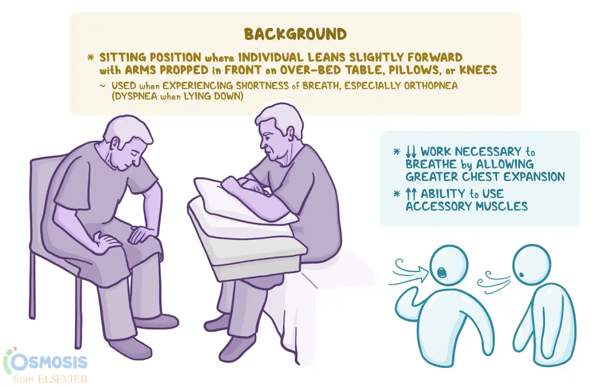 Tripod Pozisyonu: Sağlık, Fotoğrafçılık ve Yoga Alanlarında Kapsamlı İnceleme