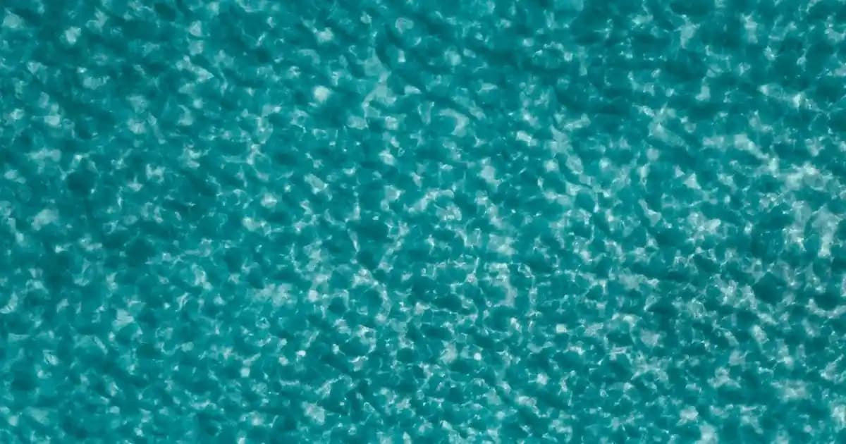 Türk Telekom Puan ile Telefon Alma Yöntemi ve Sağladığı Avantajlar