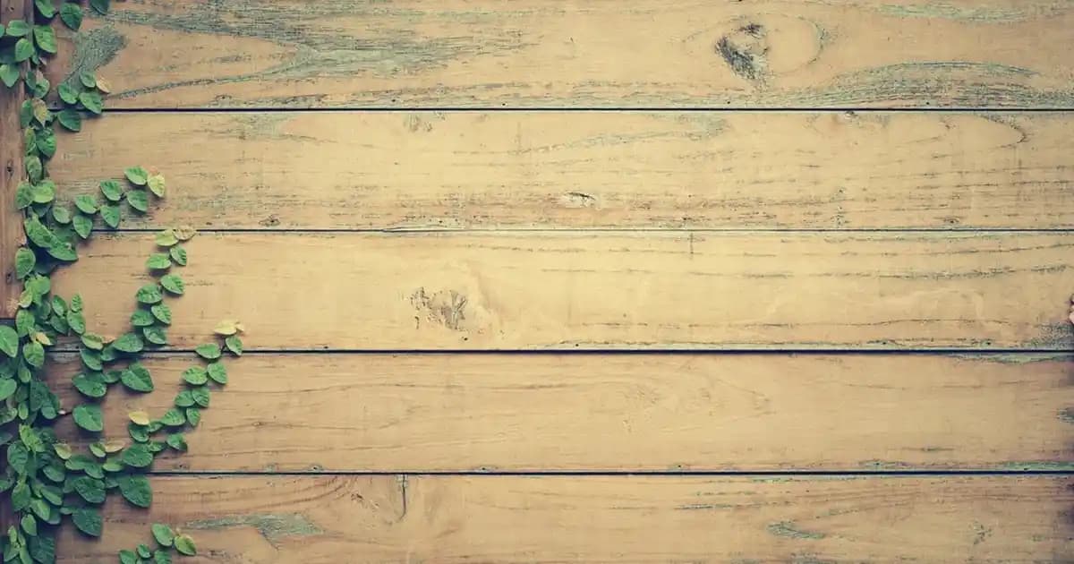 WhatsApp Durum Ekran Görüntüsü Alındığında Bildirim Gider Mi? Gizlilik ve Bildirim Detayları