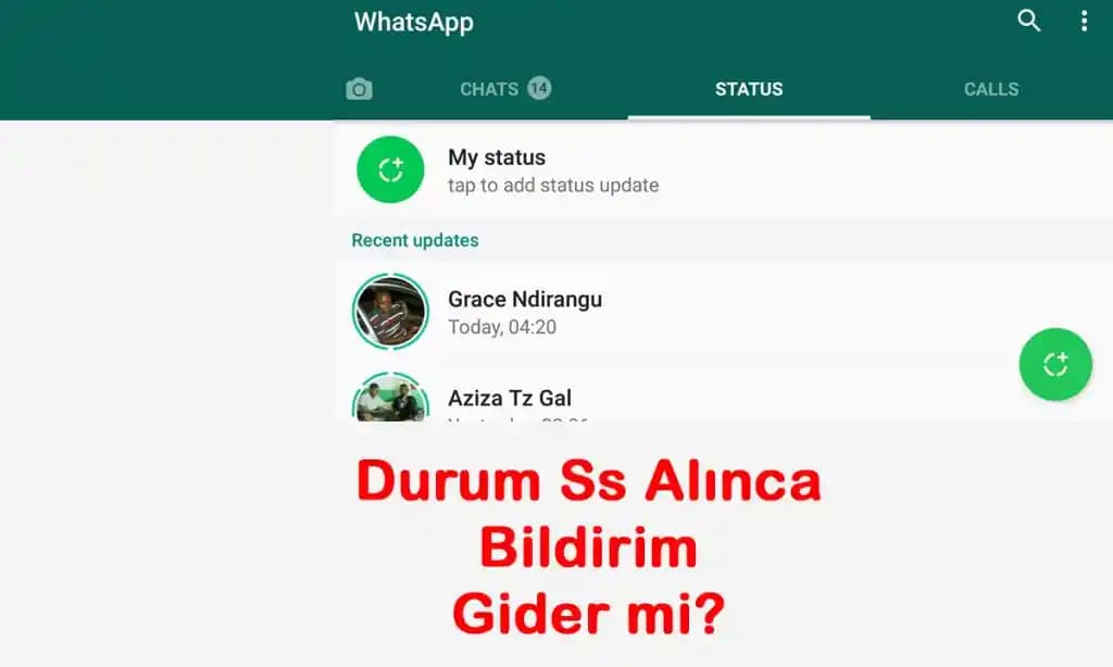 WhatsApp Durum Ekran Görüntüsü Alma Yöntemleri ve Gizlilik Kuralları