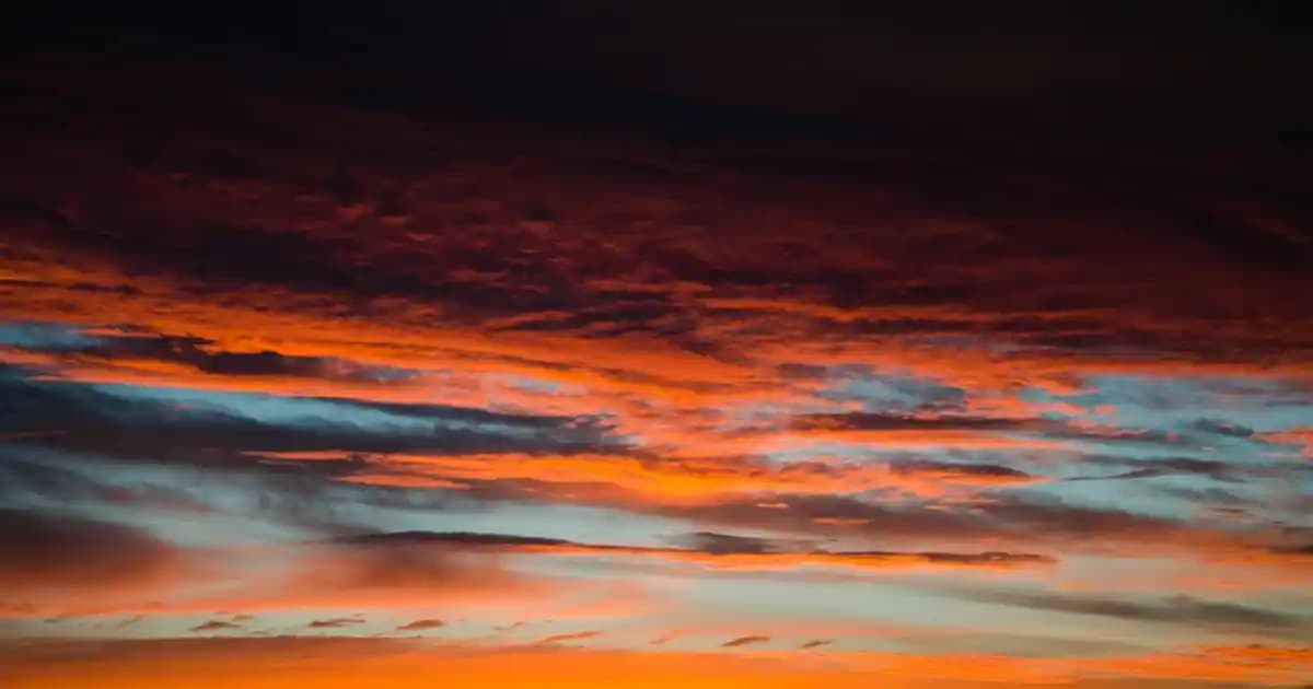 WhatsApp Durum Ekran Görüntüsü Bildirimleri ve Gizlilik Politikası Hakkında Bilgi