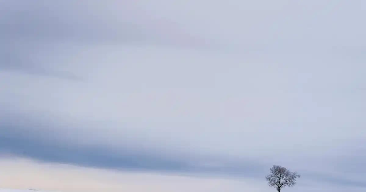 WhatsApp Durum Ekranı Kaydı Alındığında Bildirim Gönderilir Mi? Teknik ve Gizlilik Rehberi