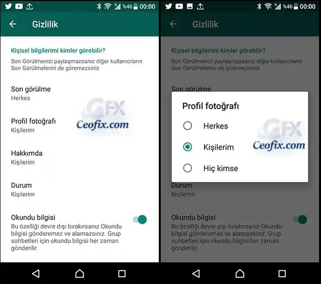 WhatsApp Profil Fotoğrafı Görme ve Gizlilik Ayarları Hakkında Bilmeniz Gerekenler