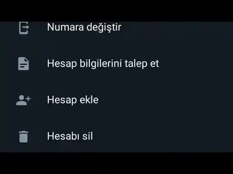 WhatsApp'ta İkinci Numara Ekleme ve Çoklu Hesap Kullanımı Yöntemleri