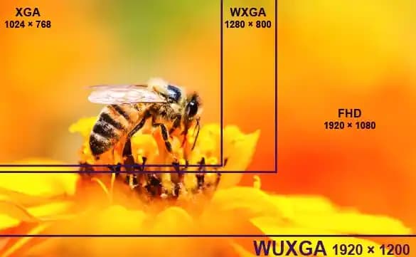 WQXGA Ekran: 2560x1600 Çözünürlük ve Geniş Görüntüleme Alanının Detaylı İncelemesi