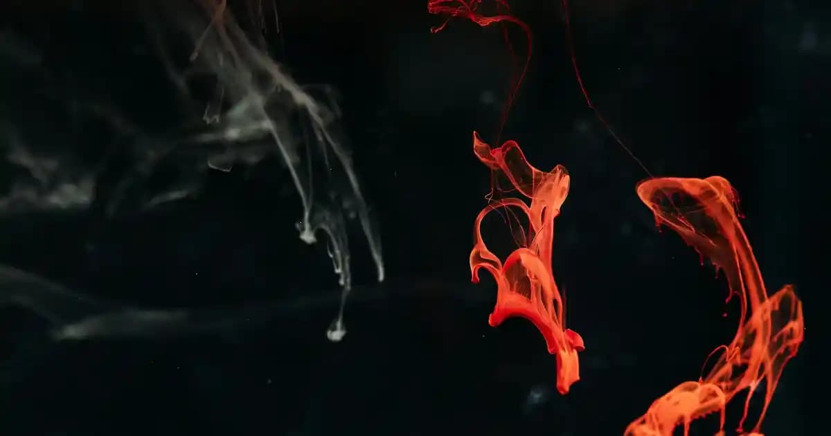 Xiaomi ZMI Z1: 10,000 mAh Kapasiteli Akıllı ve Taşınabilir Güç Bankası