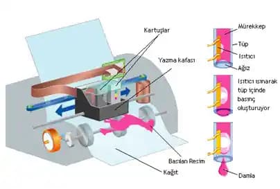 Yazıcının Görevi ve Çalışma Prensipleri: Teknolojinin Temel Parçasını İnceleyin