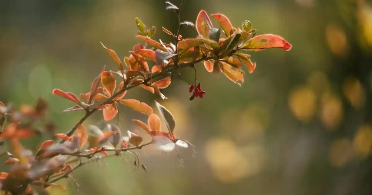 Yozgat Vatan Bilgisayar: Geniş Ürün Yelpazesi ve Güvenilir Teknoloji Hizmetleri