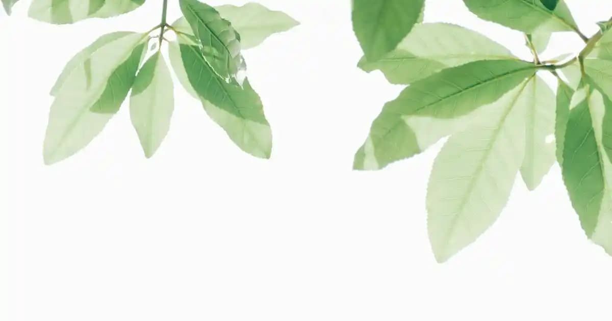 2023 Samsung Telefon Modelleri ve Özellikleri Güncel Bilgilerle Analizi