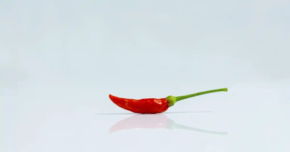 2025 Yılında IMEI Kayıt Ücretleri ve Güncel Durum Analizi