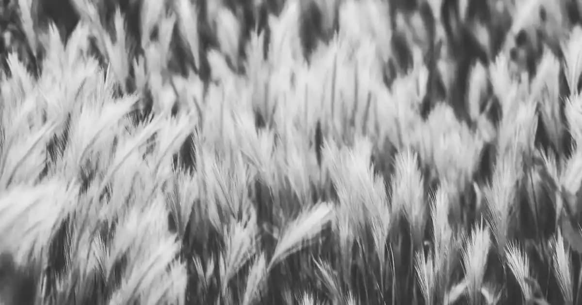 Anakart Değişimi Süreci ve Uzmanlık Gerektiren Adımlar Hakkında Bilgi