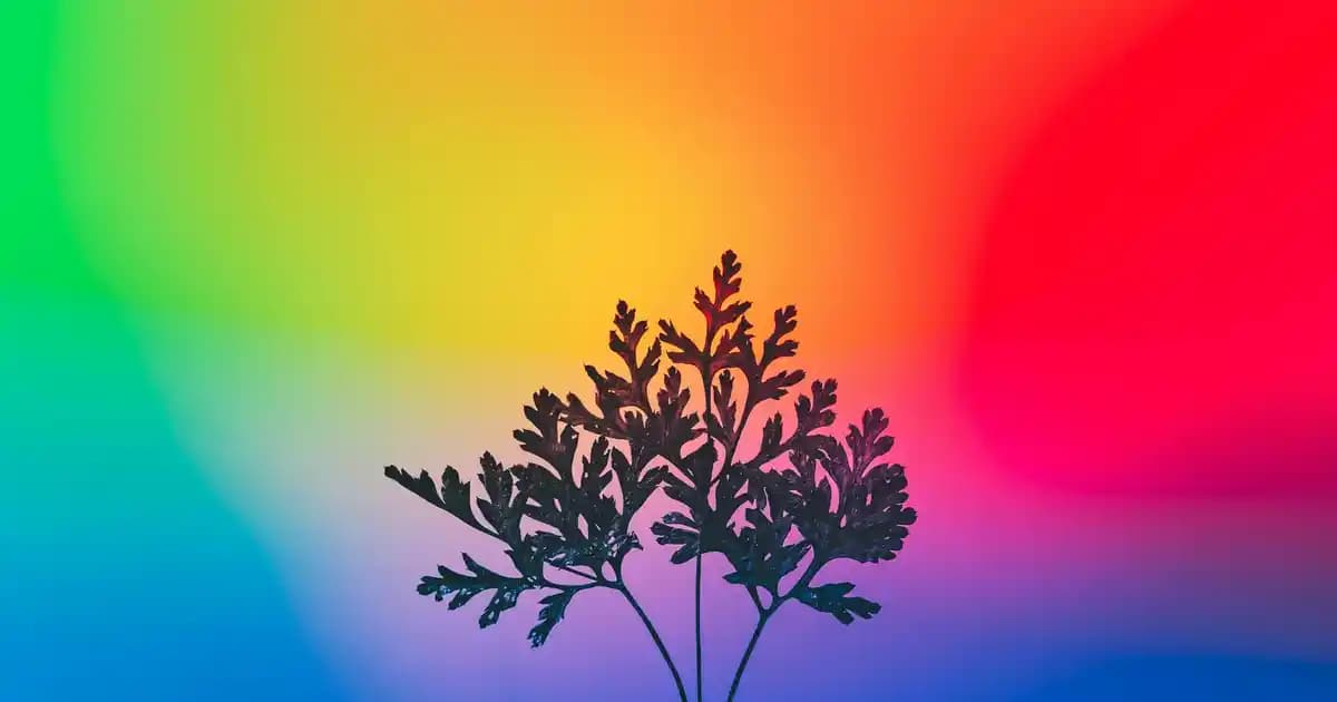 Apple Ekran Değişimi ve Güvenlik Prosedürleri: Cihaz Bakımı ve Güvenlik İpuçları