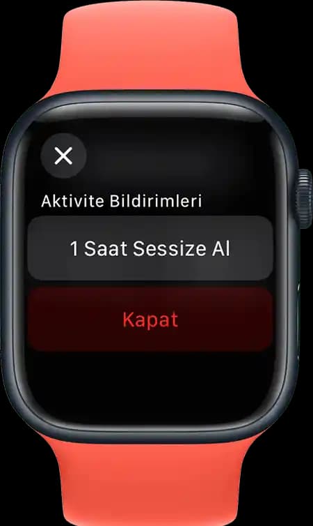 Apple Watch'ta Büyüteç Özelliğini Kapatma Rehberi ve Adımlar