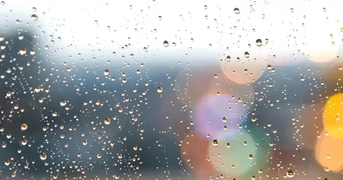 Bilgisayar Ekran Kartı Nedir ve Nasıl Çalışır Detaylı Bilgi Rehberi